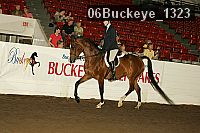 06buckeye_1323 thumbnail