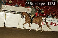 06buckeye_1324 thumbnail