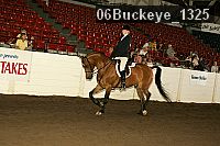 06buckeye_1325 thumbnail