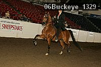 06buckeye_1329 thumbnail