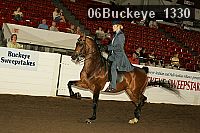 06buckeye_1330 thumbnail