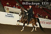 06buckeye_1331 thumbnail