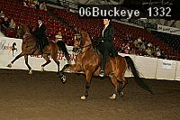 06buckeye_1332 thumbnail