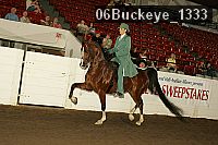 06buckeye_1333 thumbnail