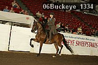 06buckeye_1334 thumbnail