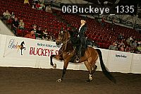 06buckeye_1335 thumbnail