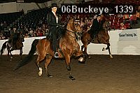 06buckeye_1339 thumbnail