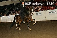 06buckeye_1340 thumbnail