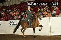 06buckeye_1341 thumbnail