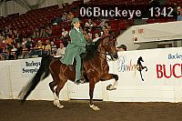 06buckeye_1342 thumbnail