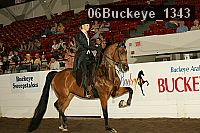 06buckeye_1343 thumbnail