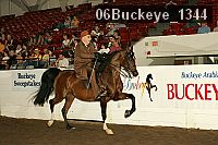 06buckeye_1344 thumbnail