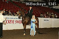 06buckeye_1345 thumbnail