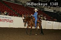 06buckeye_1348 thumbnail