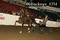 06buckeye_1354 thumbnail