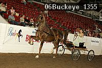 06buckeye_1355 thumbnail