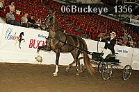 06buckeye_1356 thumbnail