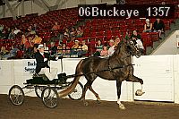 06buckeye_1357 thumbnail