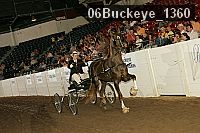 06buckeye_1360 thumbnail