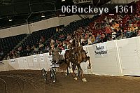 06buckeye_1361 thumbnail