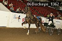 06buckeye_1362 thumbnail