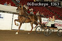 06buckeye_1363 thumbnail