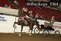 06buckeye_1364 thumbnail