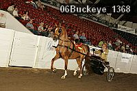 06buckeye_1368 thumbnail