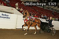 06buckeye_1369 thumbnail