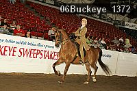 06buckeye_1372 thumbnail