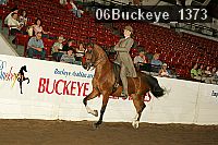 06buckeye_1373 thumbnail