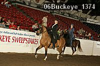 06buckeye_1374 thumbnail