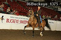 06buckeye_1375 thumbnail