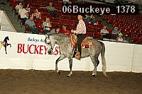 06buckeye_1378 thumbnail