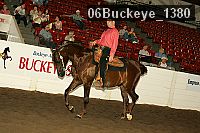 06buckeye_1380 thumbnail