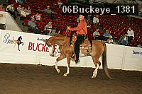 06buckeye_1381 thumbnail