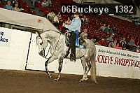 06buckeye_1382 thumbnail