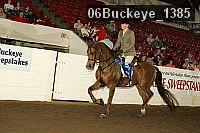 06buckeye_1385 thumbnail