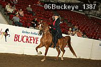 06buckeye_1387 thumbnail