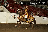 06buckeye_1391 thumbnail