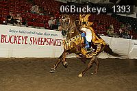 06buckeye_1393 thumbnail