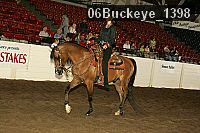 06buckeye_1398 thumbnail