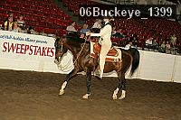 06buckeye_1399 thumbnail