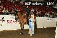 06buckeye_1400 thumbnail