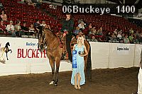 06buckeye_1400 thumbnail