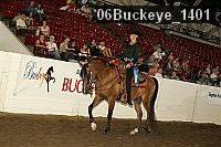 06buckeye_1401 thumbnail