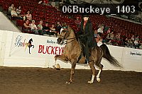 06buckeye_1403 thumbnail