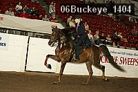 06buckeye_1404 thumbnail