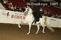 06buckeye_1405 thumbnail