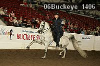 06buckeye_1406 thumbnail